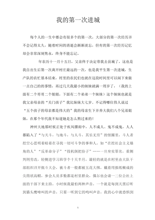 我的第一次进城