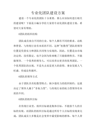 专业化团队建设方案