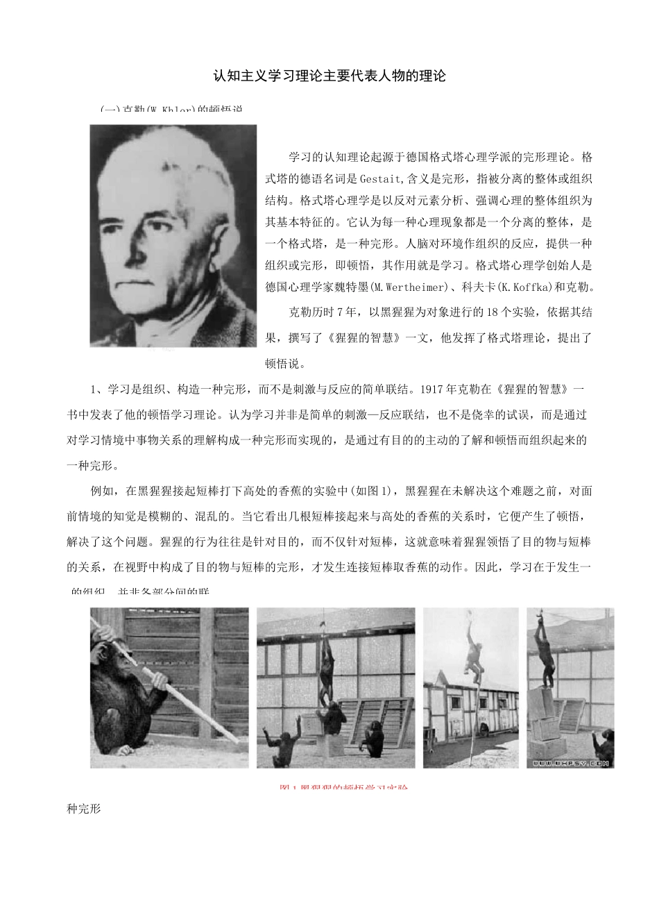 认知主义学习理论主要代表人物的理论_第1页