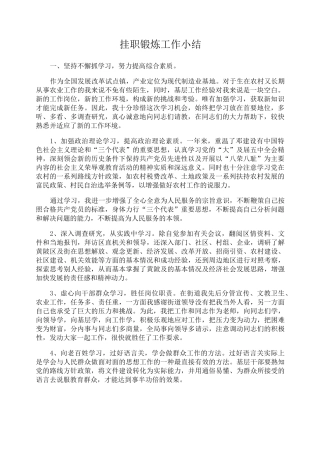 挂职锻炼工作小结