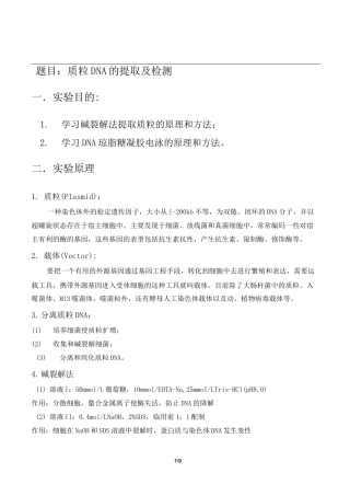 质粒DNA的提取及检测实验报告