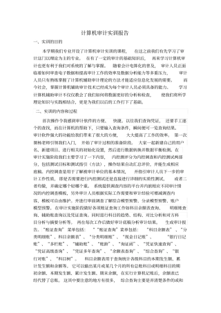 计算机审计实训报告