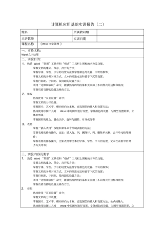 计算机应用基础实训报告文档