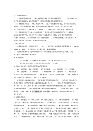 评定标准-脊髓损伤