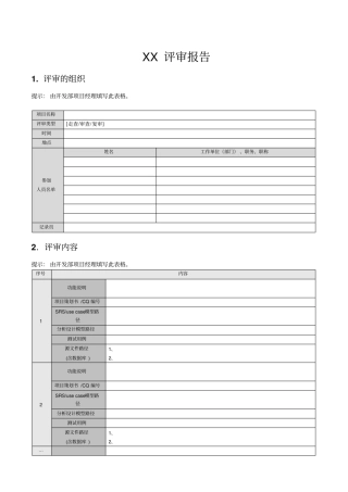 评审报告模版