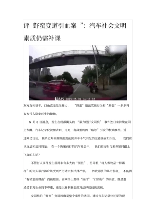 评野蛮变道引血案：汽车社会文明素质仍需补课