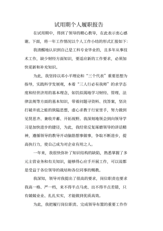 试用期个人履职报告