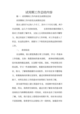 试用期工作总结内容
