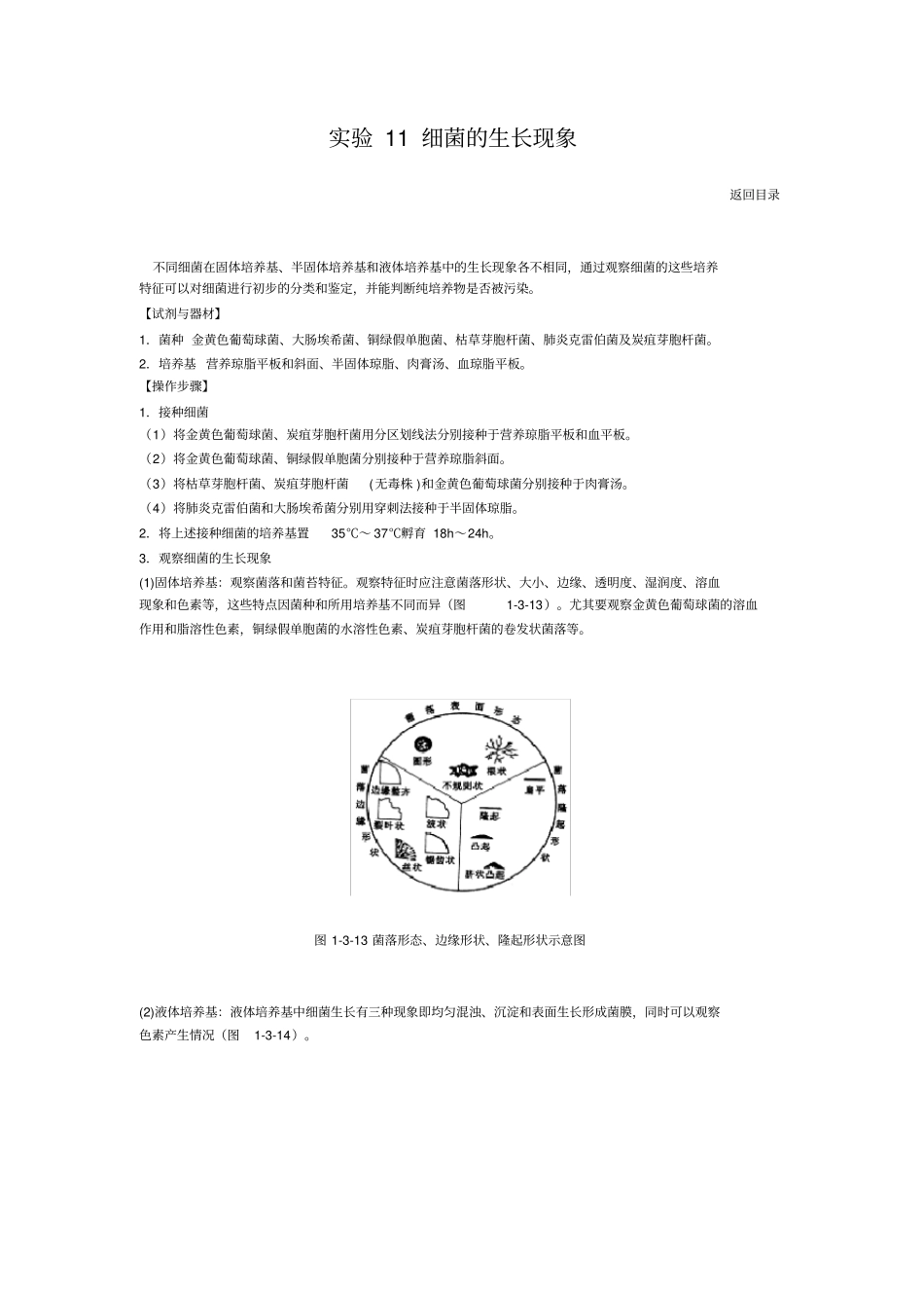 试验11细菌的生长现象_第1页