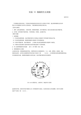 试验11细菌的生长现象