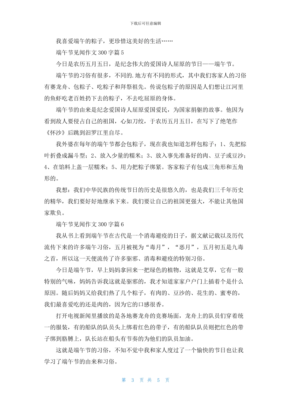 关于端午节见闻作文300字合集10篇_第3页