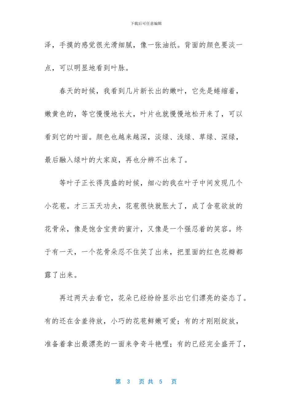 关于茶花的作文3篇_第3页