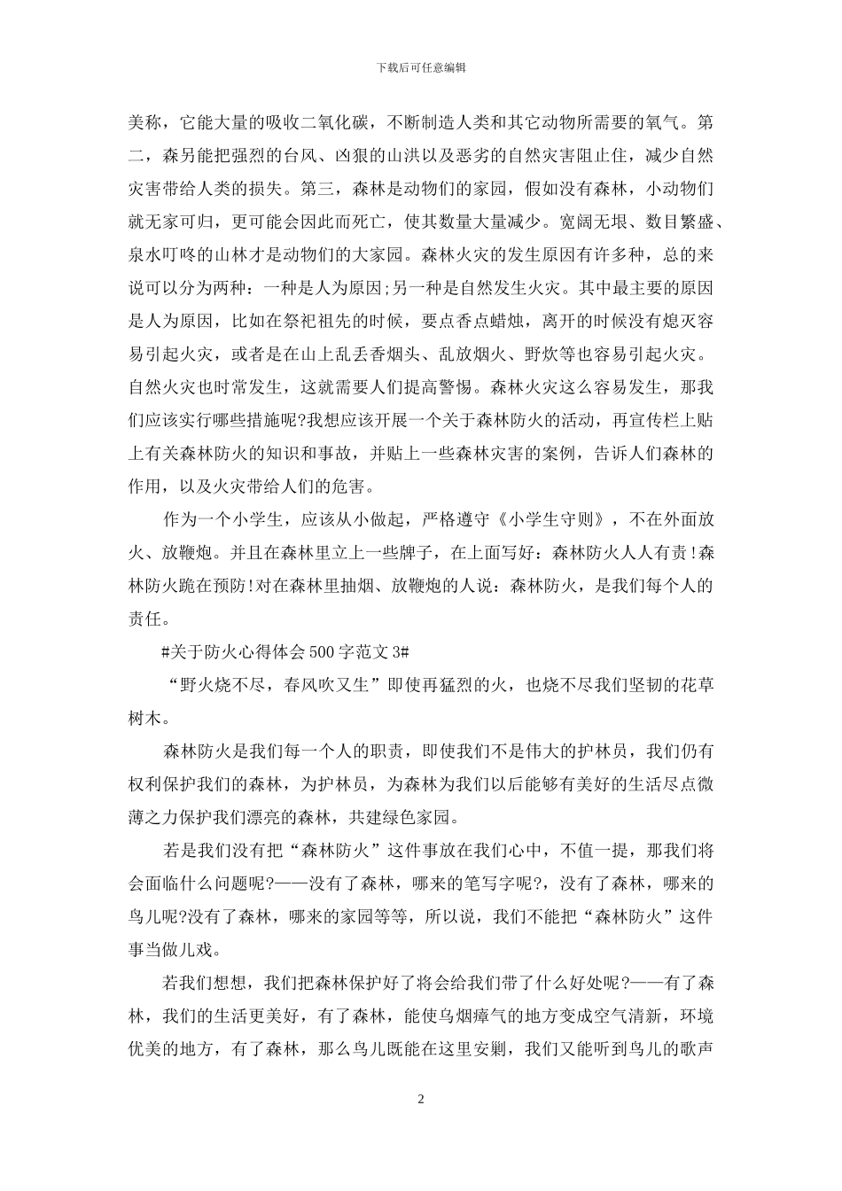 关于防火心得体会500字_第2页