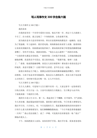 写人写事作文300字合集六篇