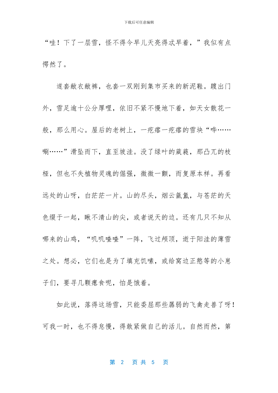 写雪的优美散文_第2页