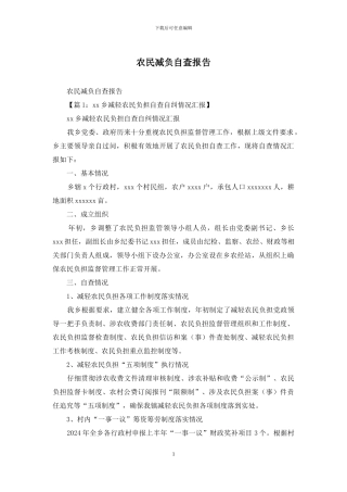 农民减负自查报告