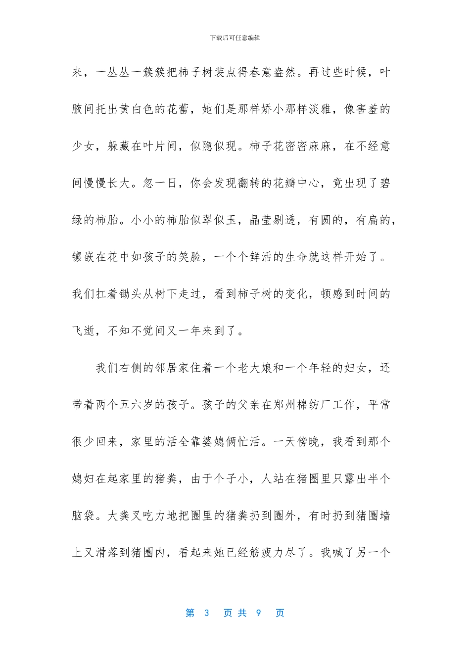 冬天的柿子树散文_第3页
