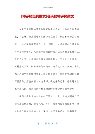 冬天的柿子树散文