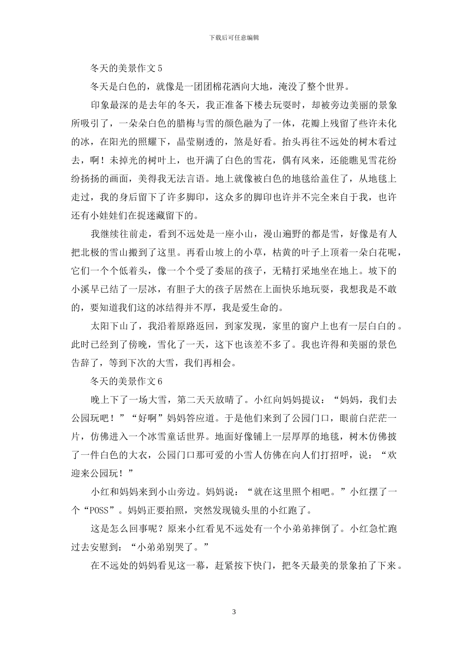 冬天的美景作文15篇_第3页