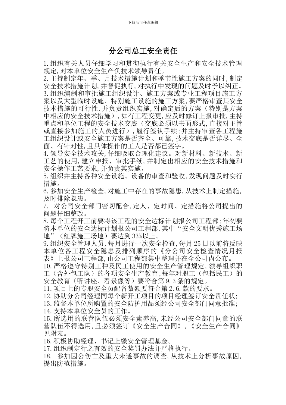 分公司总工安全责任_第1页