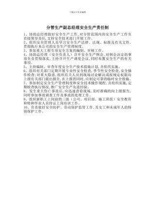分管生产副总经理安全生产责任制
