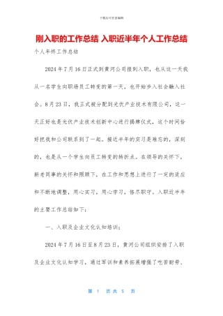 刚入职的工作总结