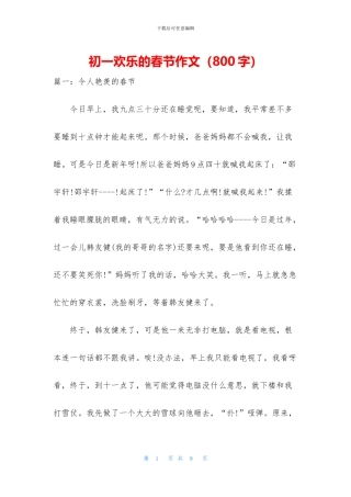 初一快乐的春节作文