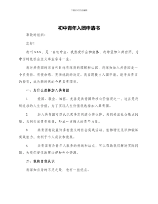 初中青年入团申请书