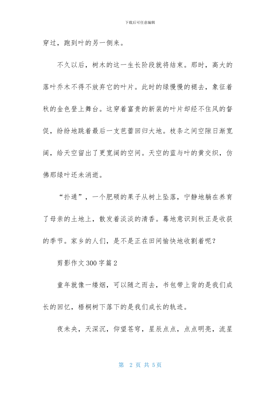 剪影作文300字三篇_第2页