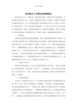 劳动就业工作情况的视察报告