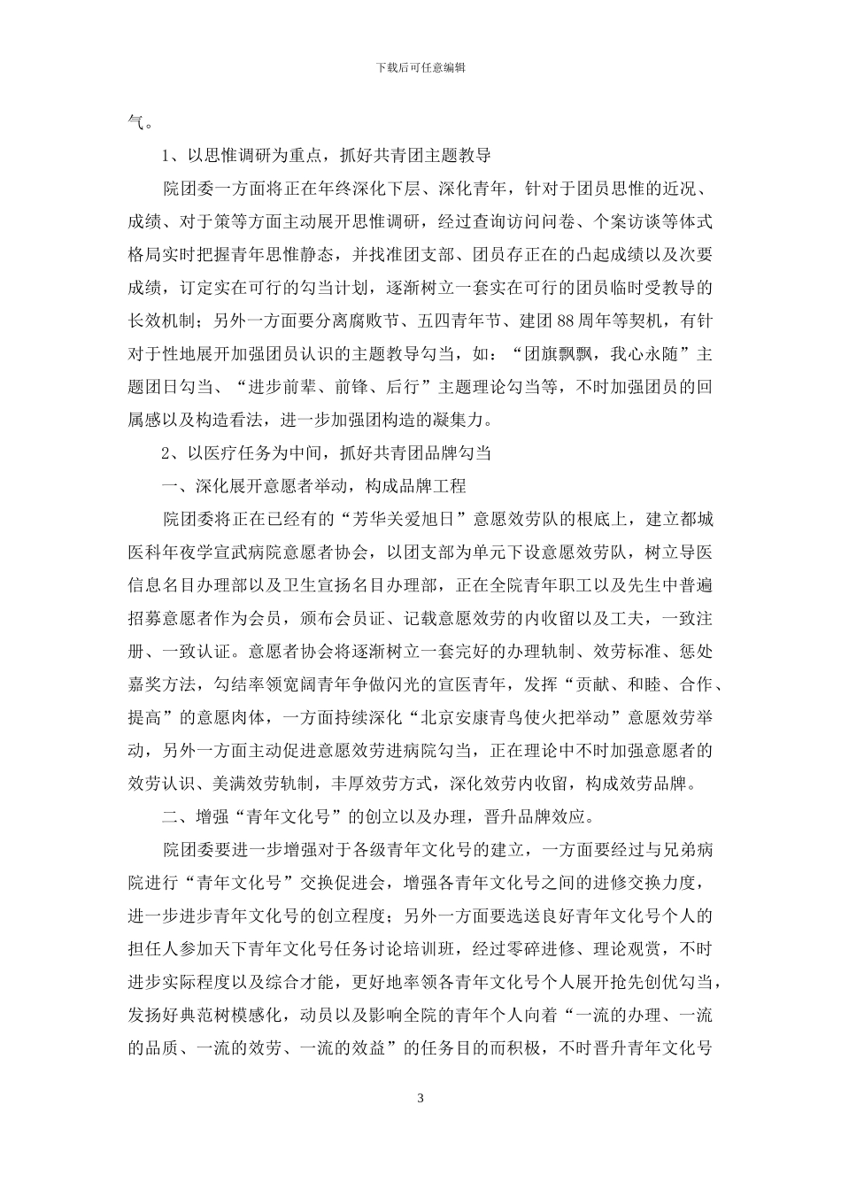 医院团支部个人计划2024_第3页