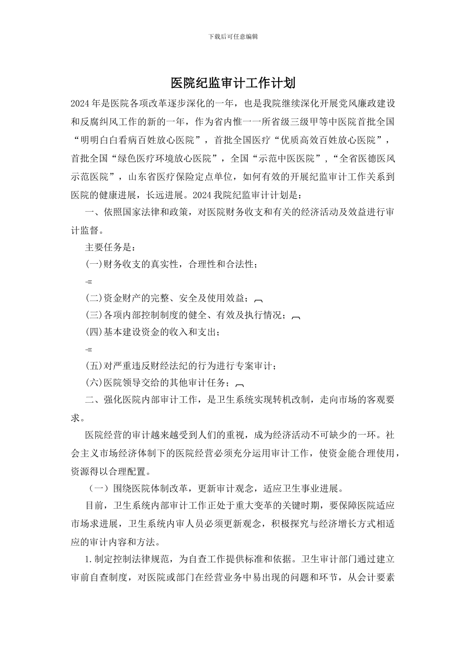 医院纪监审计工作计划_第1页