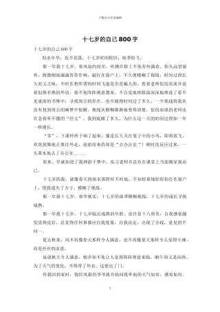 十七岁的自己800字