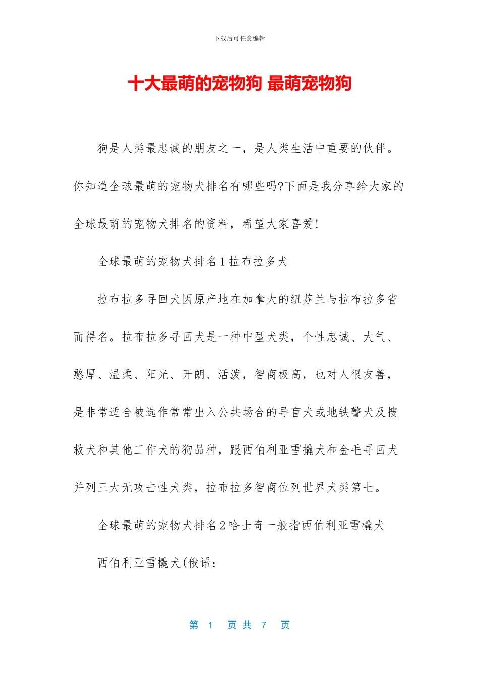 十大最萌的宠物狗_第1页