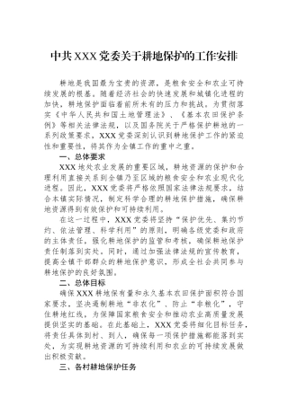 中共XXX党委关于耕地保护的工作安排