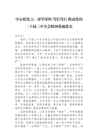 中心组发言：深学深悟 笃信笃行 推动党的二十届三中全会精神落地落实