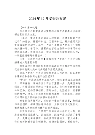 2024年12月支委会方案