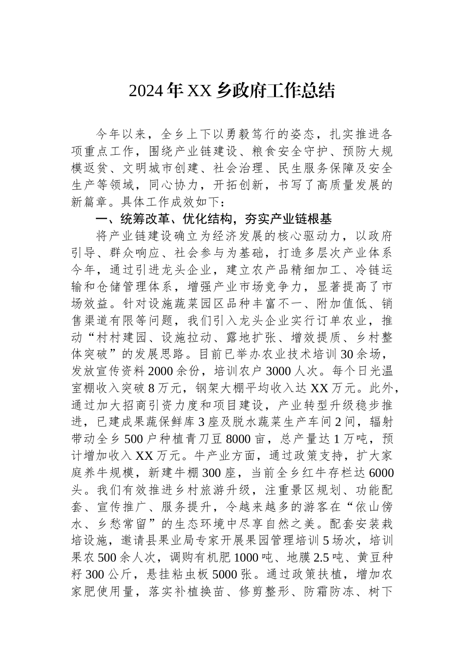 2024年XX乡政府工作总结_第1页