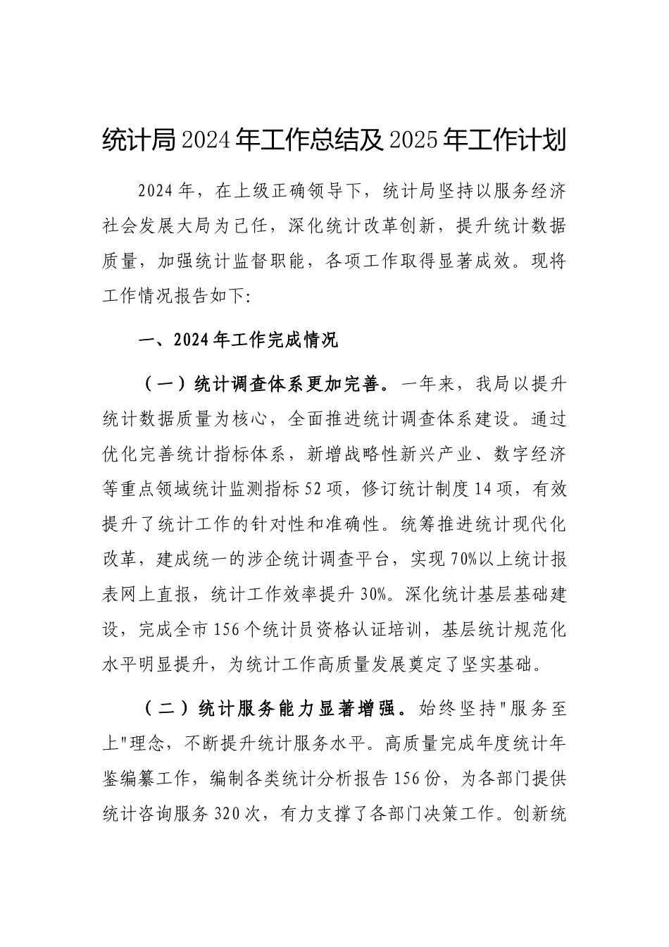 2024年工作总结及2025年工作计划（统计局）_第1页