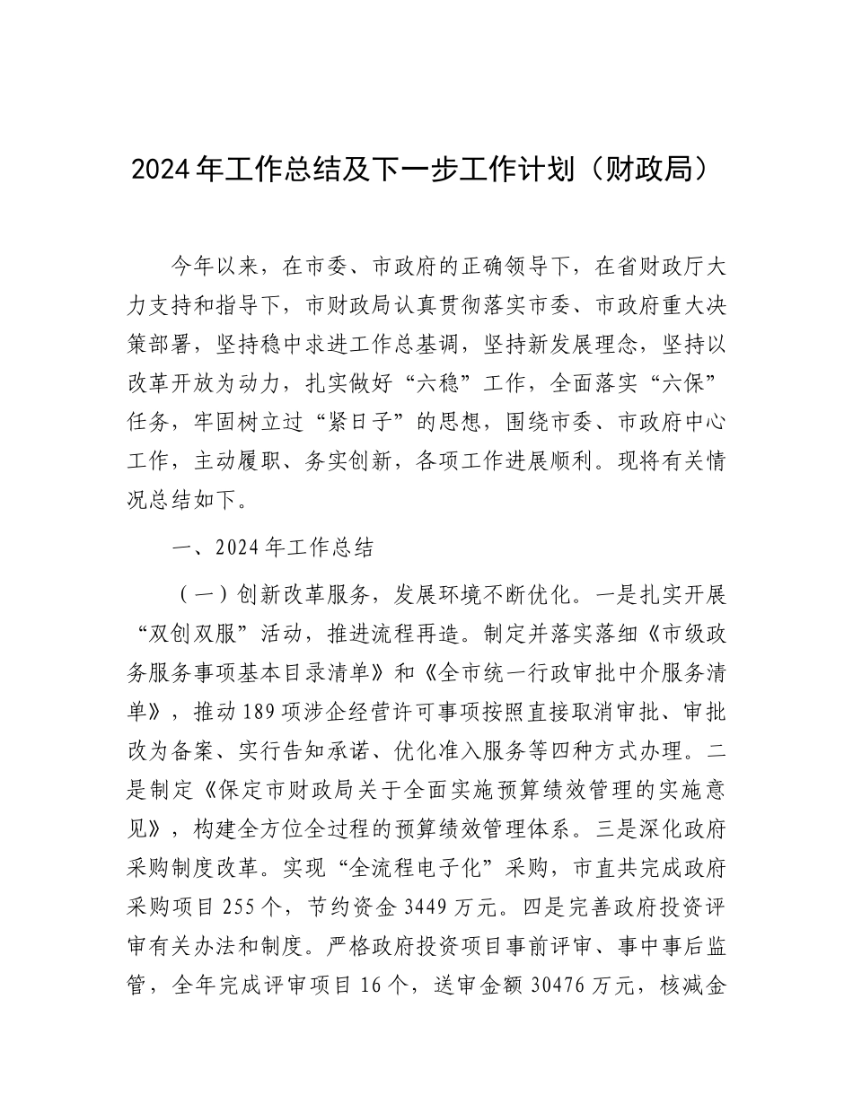 2024年工作总结及下一步工作计划（财政局）_第1页