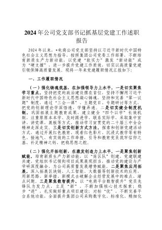 2024年公司党支部书记抓基层党建工作述职报告