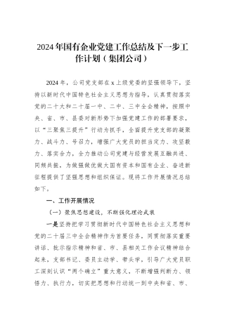 2024年国有企业党建工作总结及下一步工作计划（集团公司）