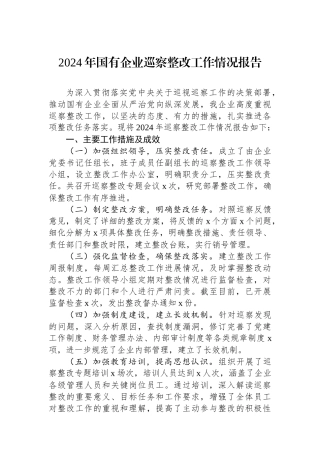 2024年国有企业巡察整改工作情况报告