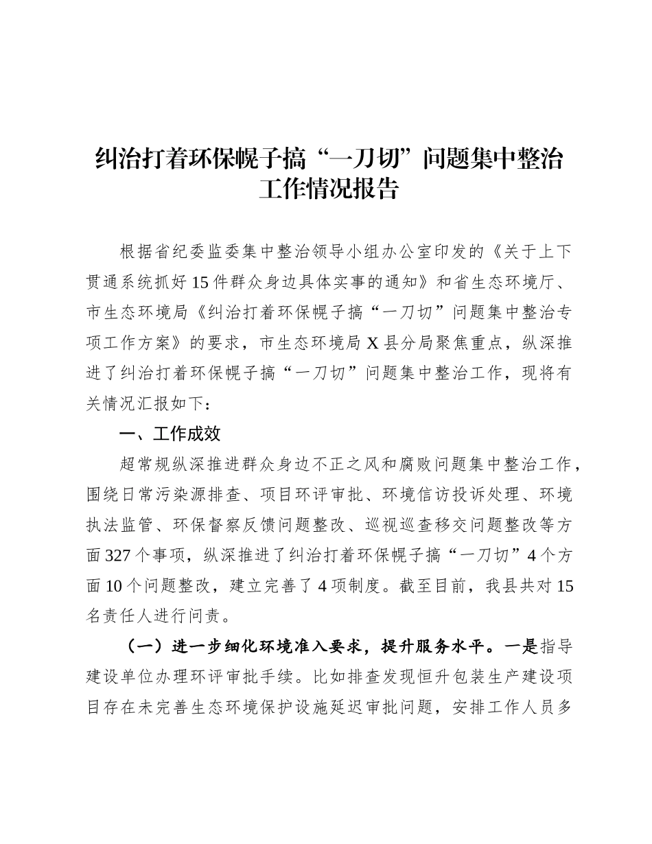 2024年纠治打着环保幌子搞“一刀切”问题集中整治工作情况报告_第1页