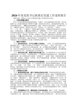 2024年某党组书记抓基层党建工作述职报告