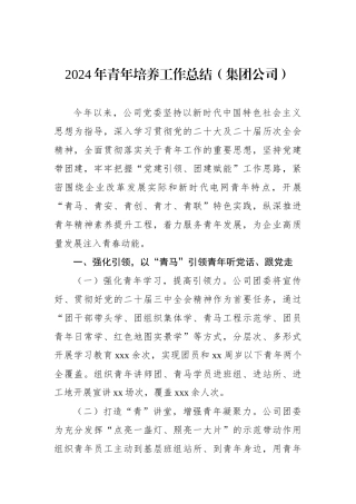 2024年青年培养工作总结（集团公司）