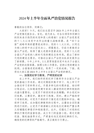 2024年上半年全面从严治党情况报告