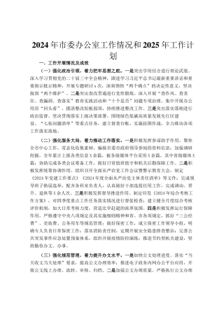 2024年市委办公室工作情况和2025年工作计划