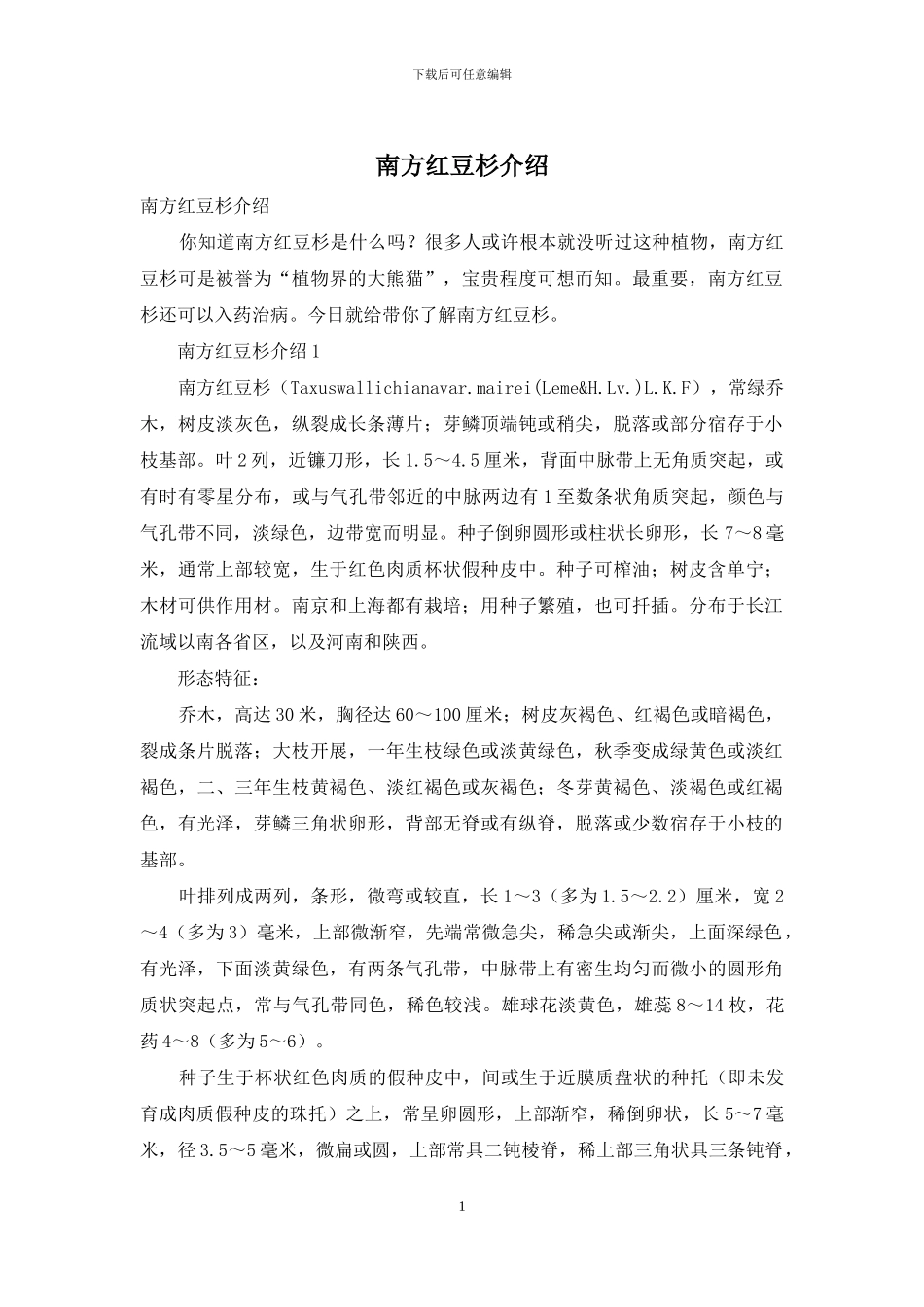 南方红豆杉介绍_第1页