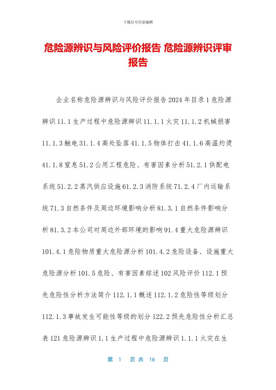 危险源辨识与风险评价报告_第1页